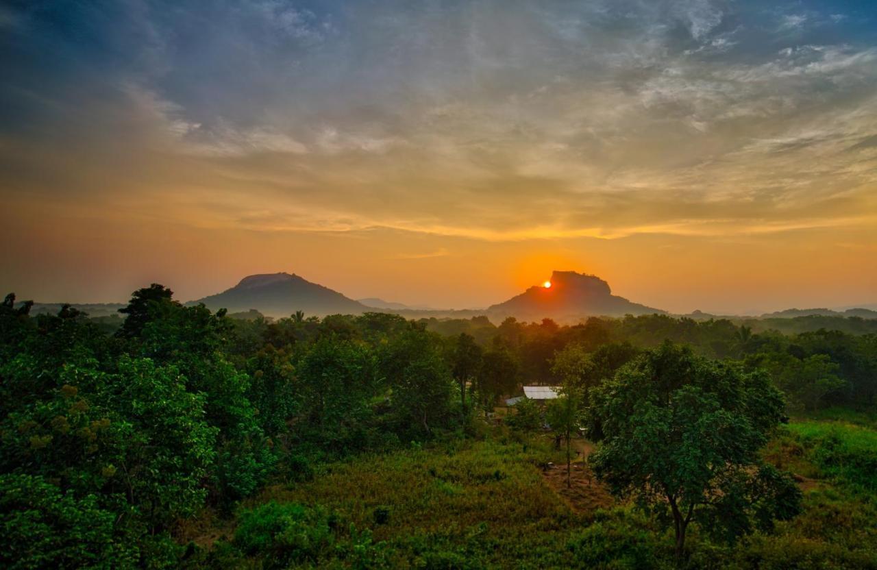 Choona Lodge 'View Of Sigiriya & Pidurangala With Sunrise' Luaran gambar