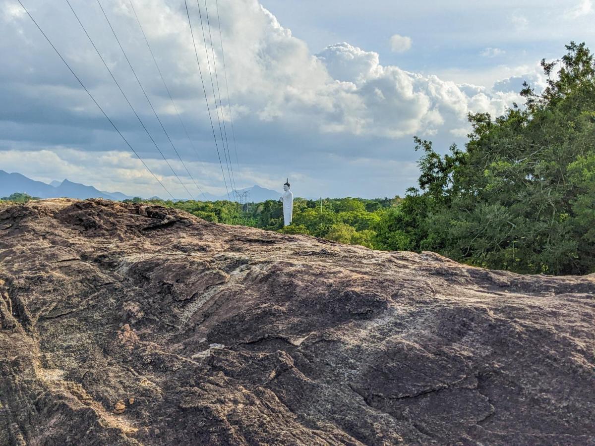 Choona Lodge 'View Of Sigiriya & Pidurangala With Sunrise' Luaran gambar
